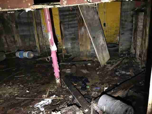 Testing again(63).jpg